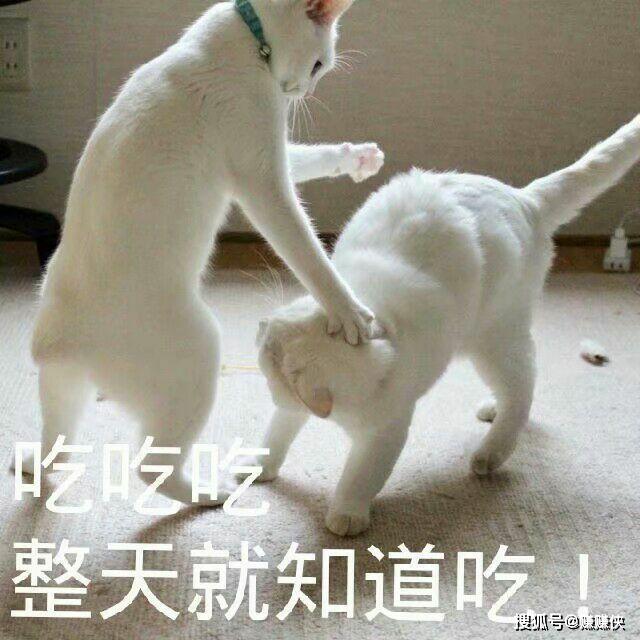 ff1ac6042aa9421b94c87acaf5b92e58.jpeg
