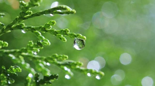 5月15日運勢，水瓶座距離產生美，白羊座煩惱會變少 星座 第3張