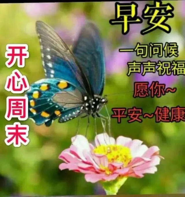 5月4日周一群发早上好问候祝福动态表情图片 5月最美早晨好问候表情