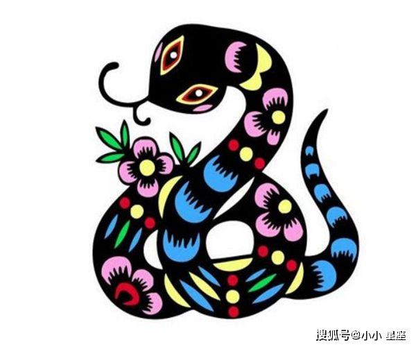 属蛇人明天大金蛇的好运堵家门在不接囍就是别人的了