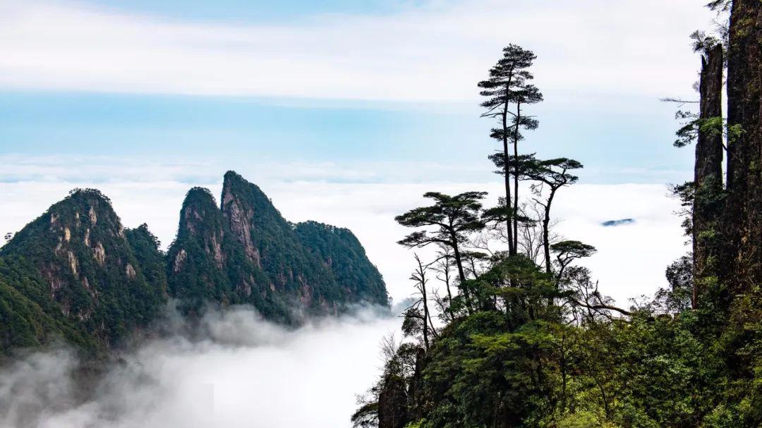 莆州莽山五指峰天气预报