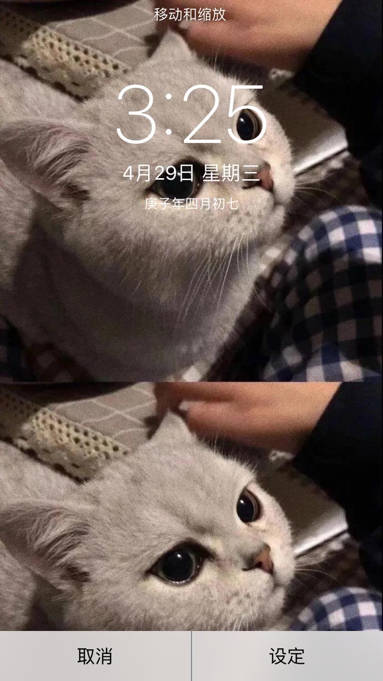 好看的墙纸图片 330de61e1e3b4a1baa3ae0657befff45.jpeg