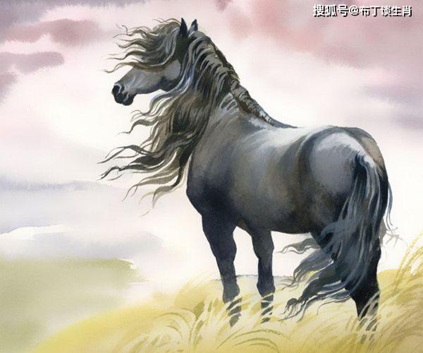 马的简笔画图片大全100种 4101be4b71a745c2a54d9e1b3f354dfd.jpeg