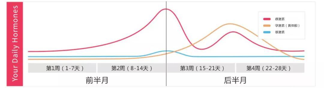 每月总有几天,皮肤会「 变差」,why?_激素