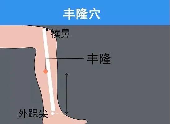 按摩丰隆穴可以消食导滞,祛湿化痰