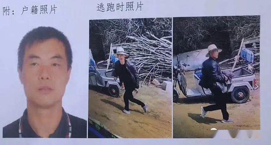 葫芦岛都市网