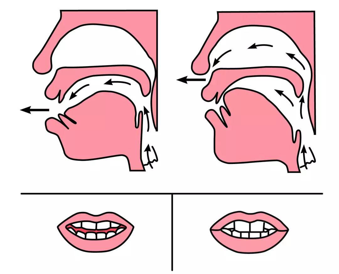 一年级声母韵母正确发音和前后鼻音发音技巧,教给孩子