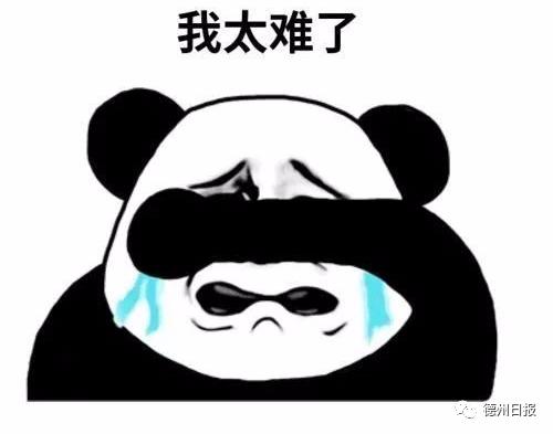 一起来看新泰具体天气预报: 一秒入夏  又一秒回春 好凌乱啊 收好的