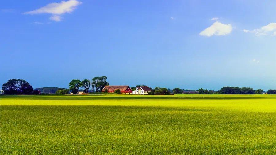 10首绝美田园诗词:暮从碧山下,山月随人归