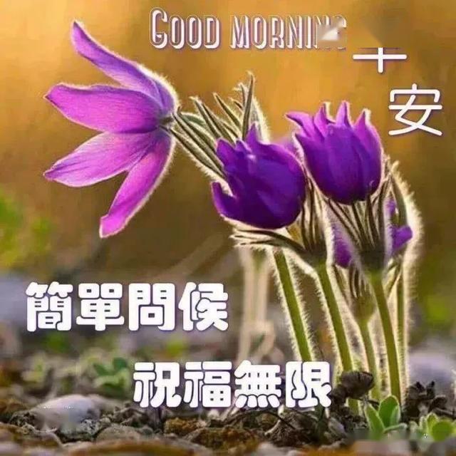 66d89c534a2f4f11a1bc83d4d11324e8.jpeg
