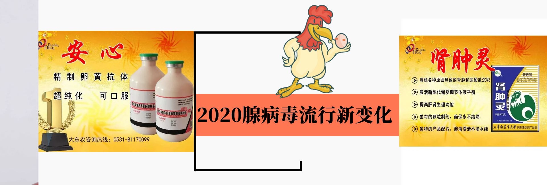 2020年肉鸡蛋鸡麻鸡三黄鸡土杂鸡腺病毒心包积液包涵体肝炎新变化