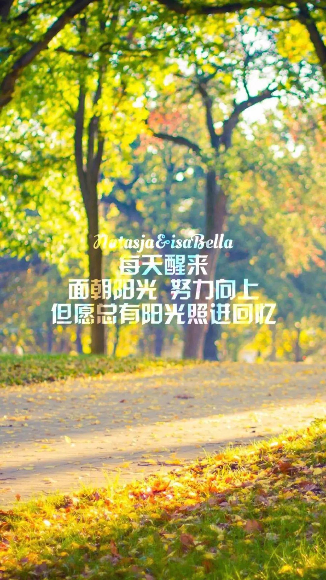 7e2a5d5b5e154a89b2e9953ceca07809.jpeg