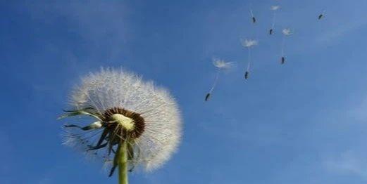 #专业#中国矿业大学2020年招生宣讲咨询会答《零点高三》粉丝问