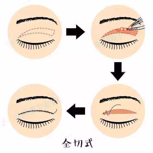 ,˫۸˫Ƥÿ,ҪȥƤȥ֬