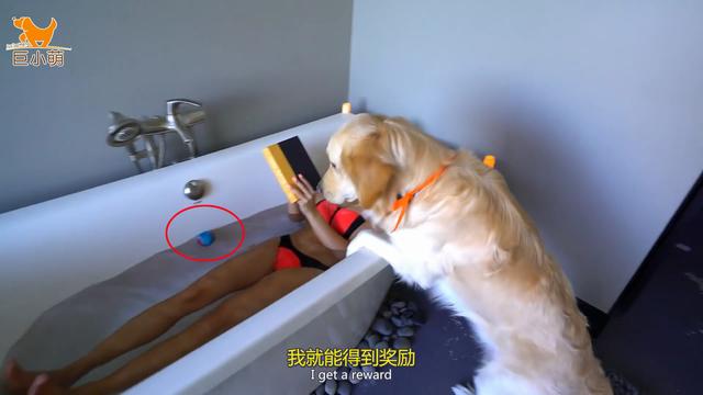 如何训练狗不进房间睡 a459f3b5cdc8459b947cf593d28a3d09.jpeg