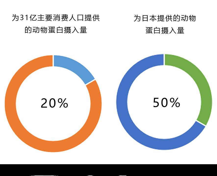 水产品人均消费_中国人均水果消费支出