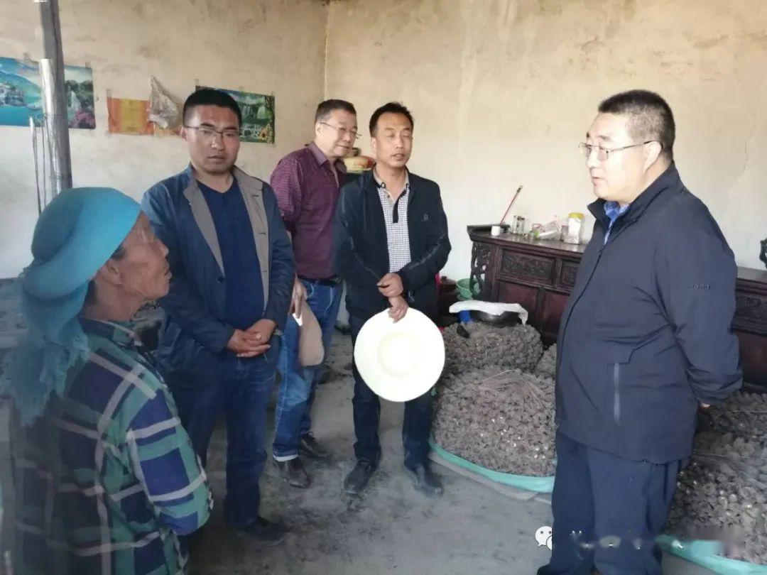 县委副书记李彦平检查指导草坪乡脱贫攻坚"大走访大排查大整改"工作