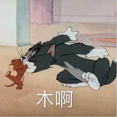 猫和老鼠表情包:兄弟你这肾不错啊