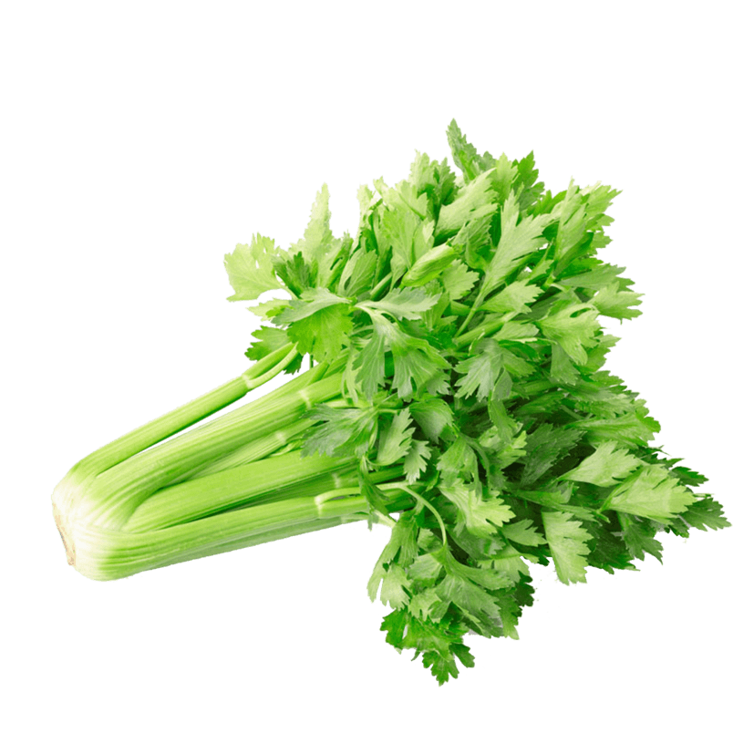 d6702a622ce94d5abd2ed9f9a7b799c7.png