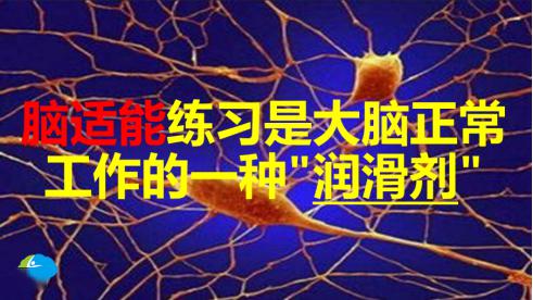 d989f0054df446ec86537dc571864b2f.jpeg