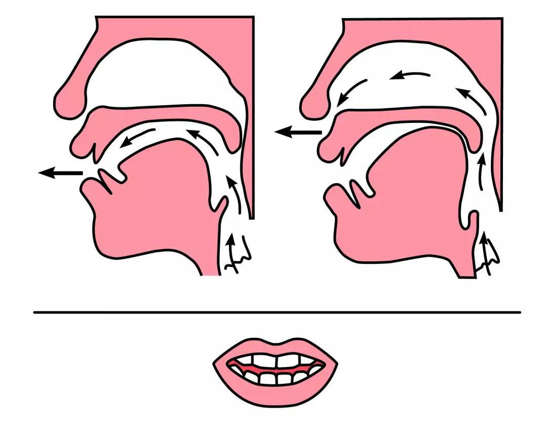 一年级声母韵母正确发音和前后鼻音发音技巧,教给孩子