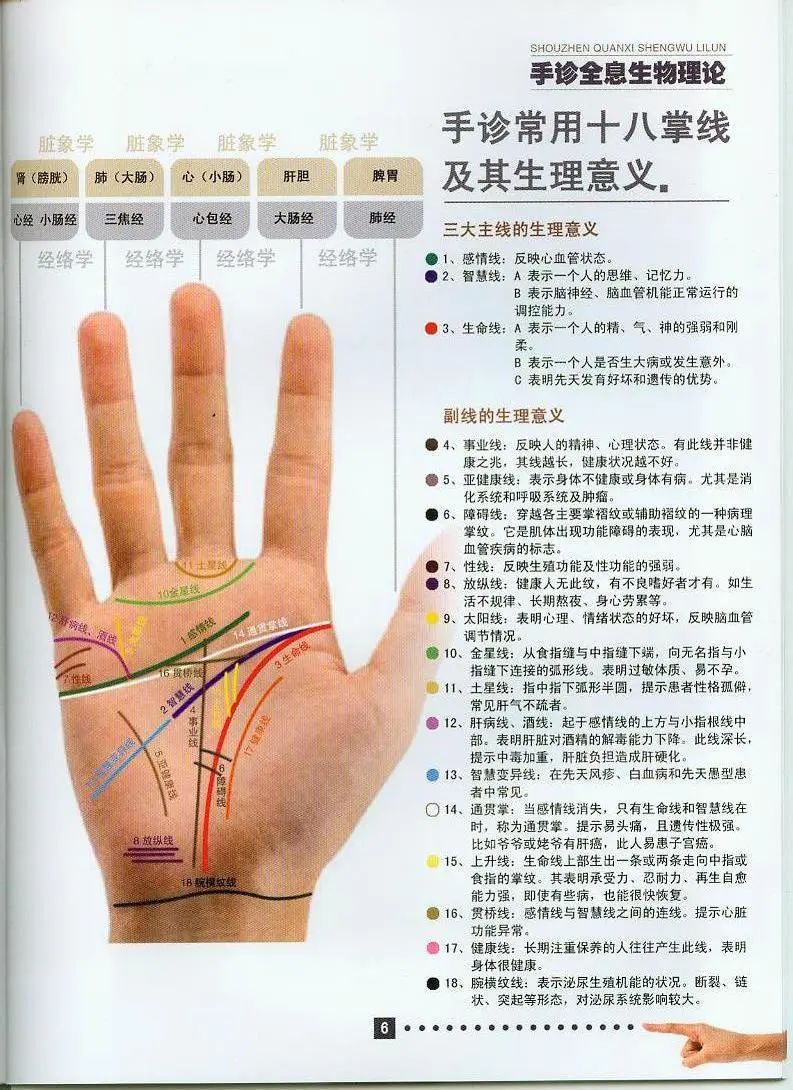 上乘辨证方法手诊生物全息理论全彩图解