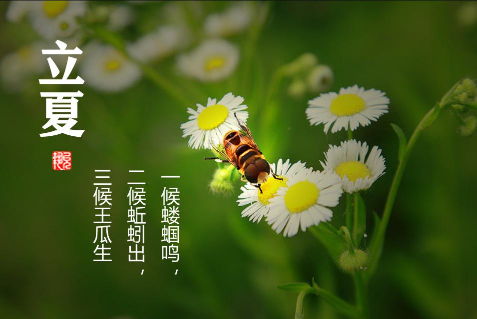 《礼记·月令》篇,解释立夏曰:"蝼蝈鸣,蚯蚓出,王瓜生,苦菜秀.