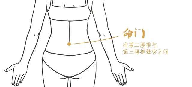 命门穴