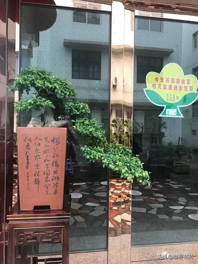 惊艳!三门有个"盆景村",美得不像话
