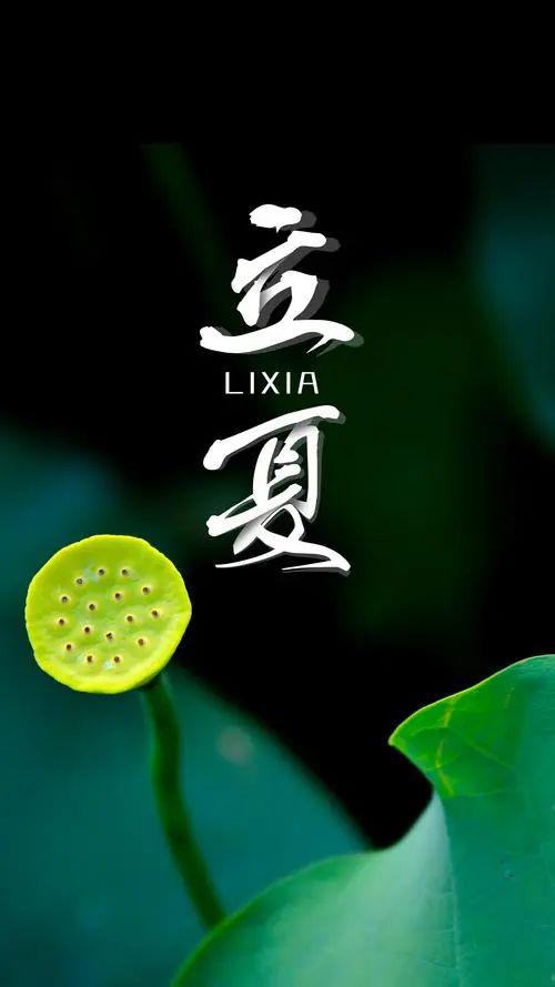 时至立夏,万物繁茂,歌声唯美