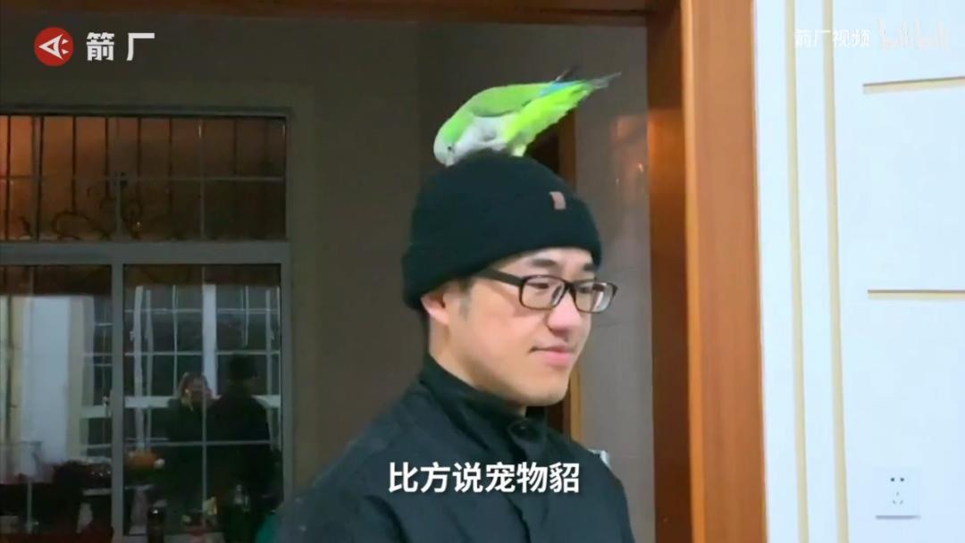 11a837a139504c9d85d3700f26be8765.jpeg
