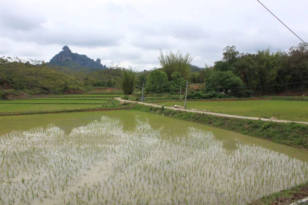 龙川铁场镇人口_龙川铁场镇十大富豪(3)