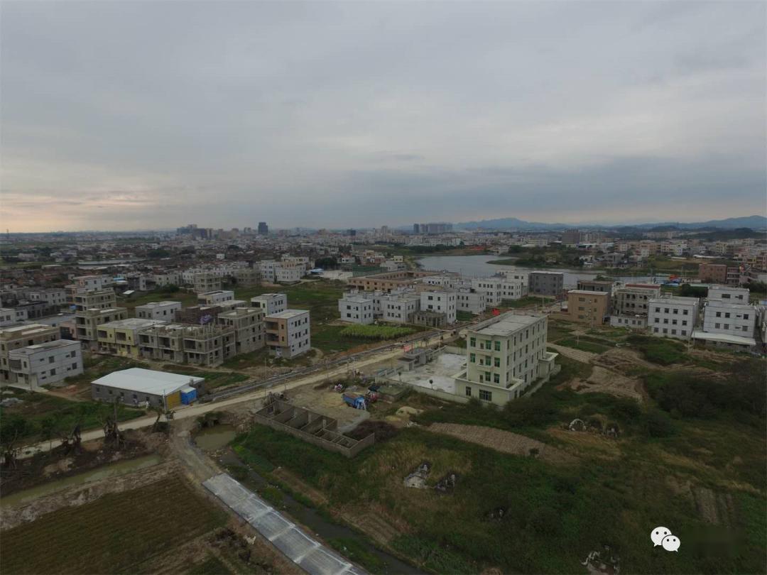 雷州客路大家村多少人口_湛江雷州客路镇挖坑村