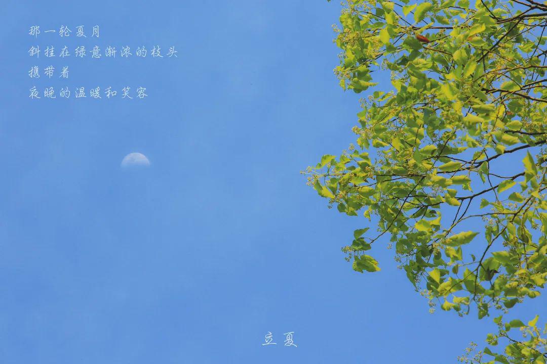 2204260f54ef4a388633c7af74f76c8b.jpeg