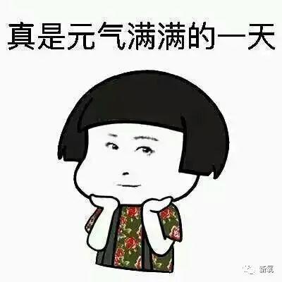 今天又是元气满满的一天!