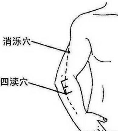 2366a4cccd8b47b7af47a299fd9583fb.jpeg