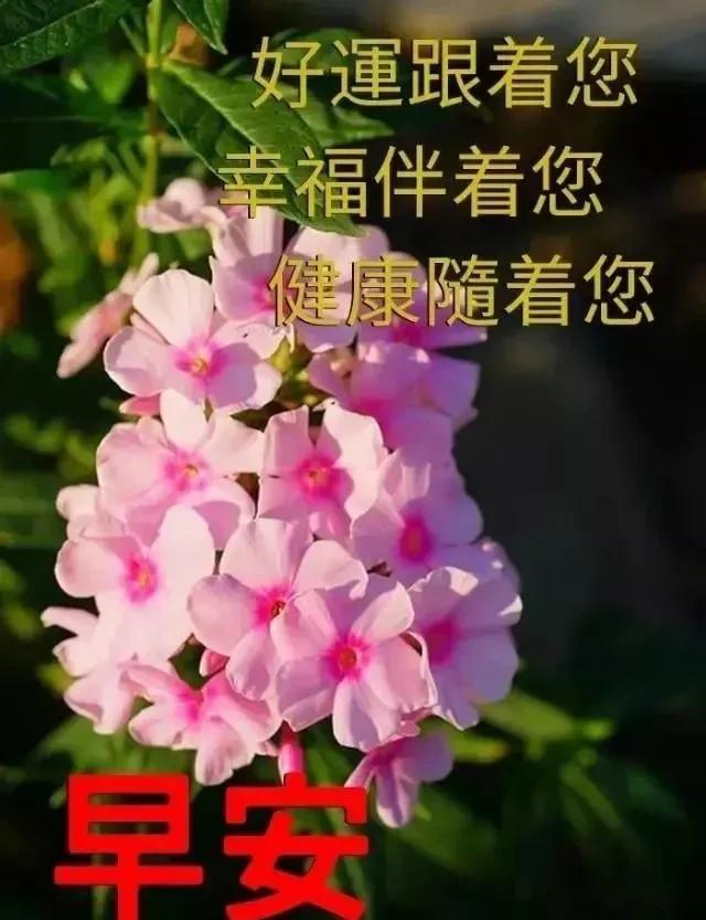 生活,简单就迷人;人心,简单就幸福,早安