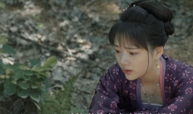 清平乐 许兰苕贾婆子下线,张妼晗更得宠,赵祯却始终护着曹丹姝