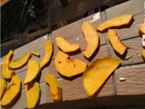怎么晒干南瓜 337b4d79d42b4d1580f8db64326bc688.jpeg