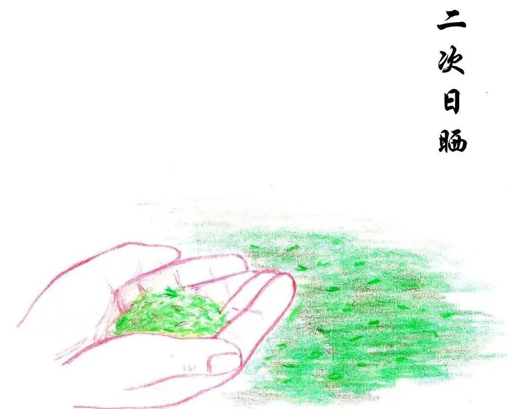35a85123ce864b9fafb9c4fe9724ab36.jpeg