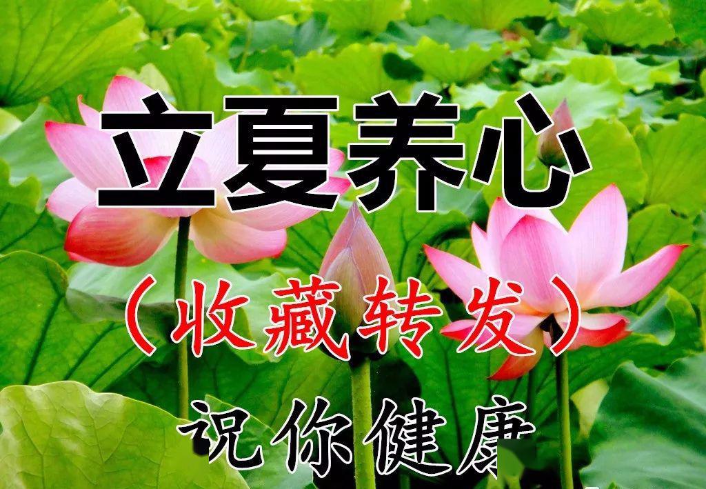 愿你健康一夏,幸福一夏!