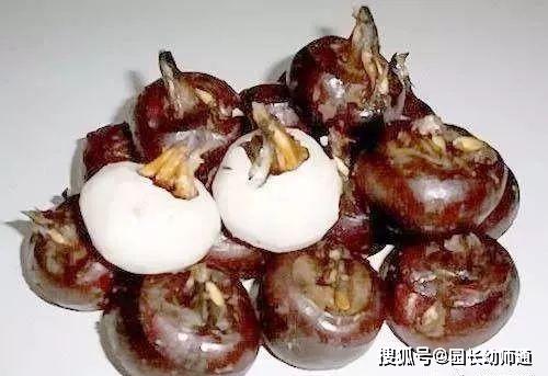 #草莓#孩子咳嗽时，这八种食物不要给孩子吃！春夏交替