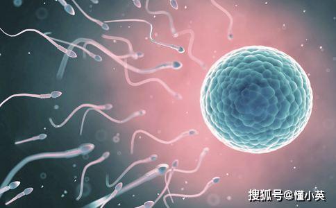 IGCSE考试及格率最高的七大科目，你选了几门？