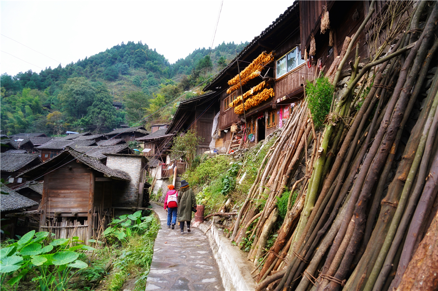 沿着蜿蜒的山路,一直来到了雷山大塘乡新桥村,古朴的木牌楼上写着短裙