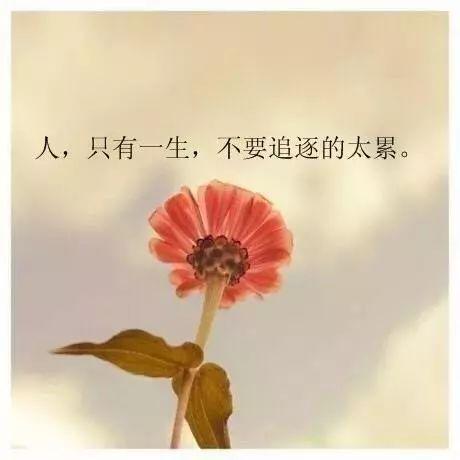 5ad6c45a448a469088abc7277863c03b.jpeg