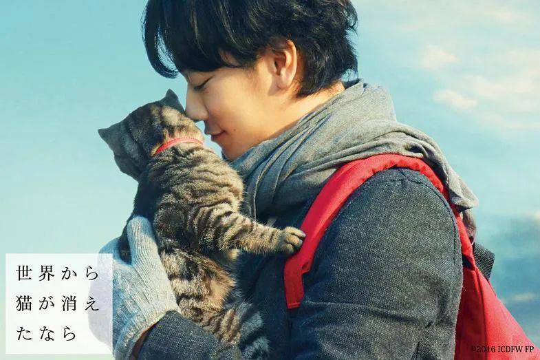 为什么日本人那么喜欢猫？_猫咪