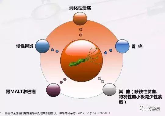 胃癌占人口比例_胃癌晚期图片(2)