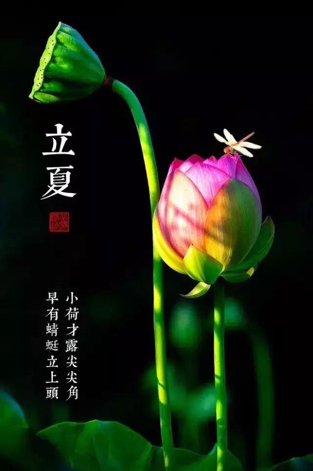 立夏诗词一夜薰风带暑来