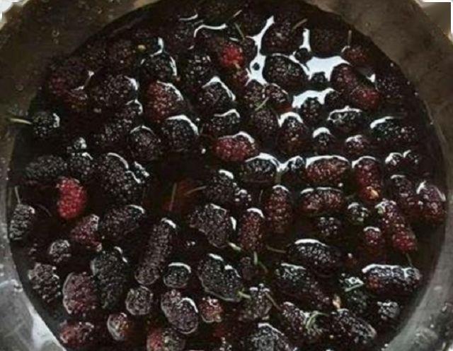 生桑葚可以蒸着吃吗 703eba8842354b67815b5d15803295f4.jpeg