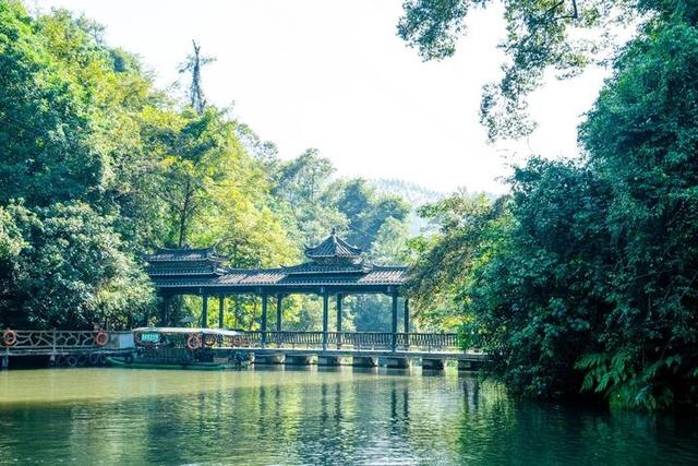 广西哪里好玩这里能去原始野林探险秘境,感悟山水的美妙!